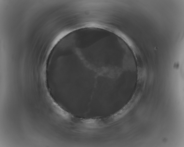 X0000094791048200711161429