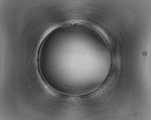 X0000094791050200711161429