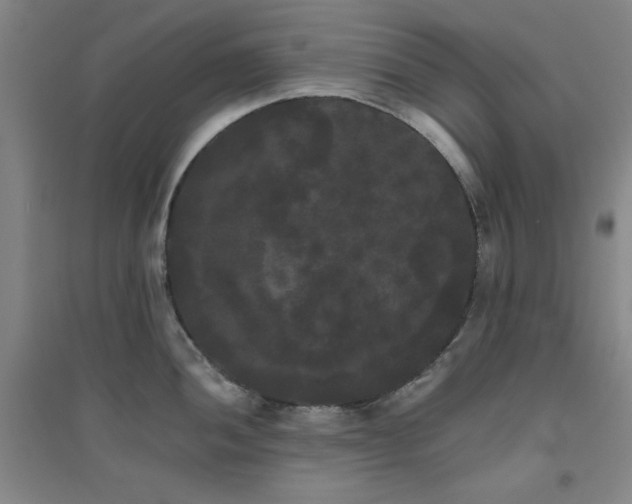 X0000094791052200711161429