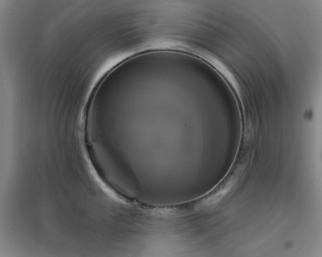 X0000094791053200711161429