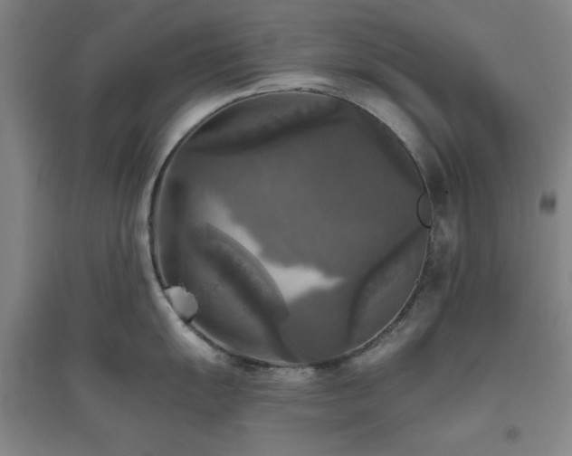 X0000094791055200711161429