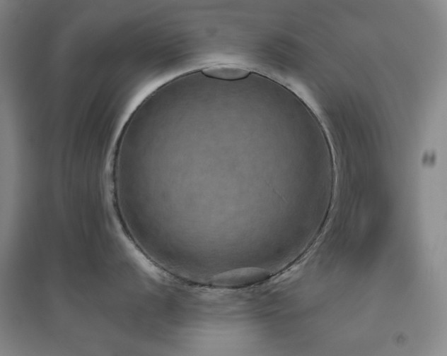 X0000094791056200711161429