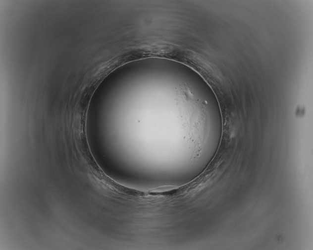 X0000094791058200711161428