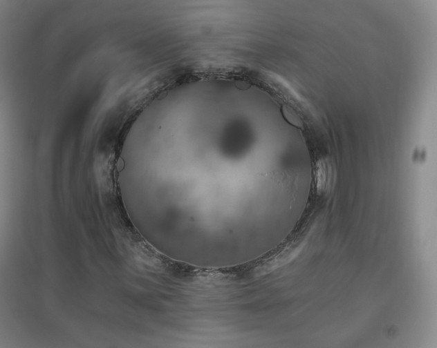 X0000094791059200711161428