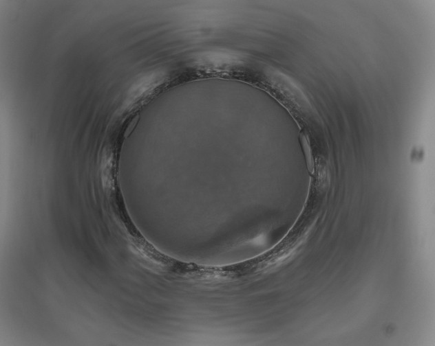 X0000094791060200711161428