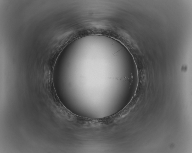 X0000094791061200711161428