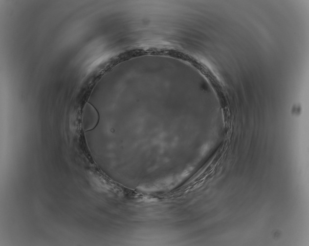 X0000094791063200711161428