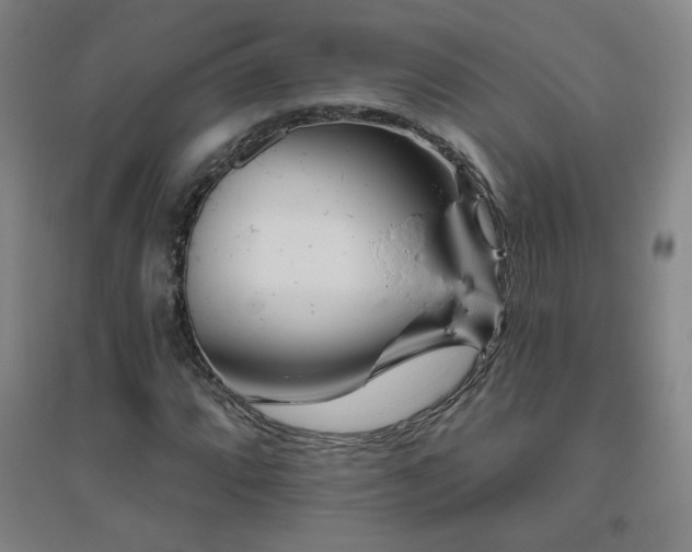 X0000094791064200711161428