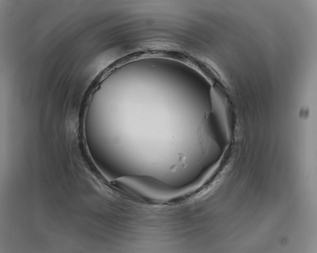 X0000094791065200711161428