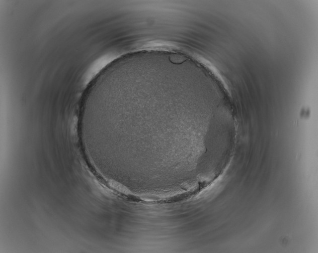 X0000094791066200711161428