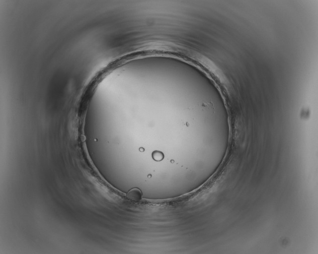 X0000094791067200711161428