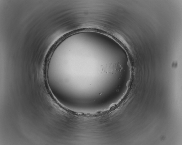 X0000094791068200711161428