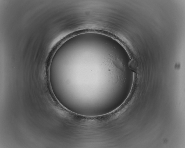 X0000094791070200711161428