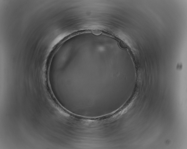 X0000094791071200711161428