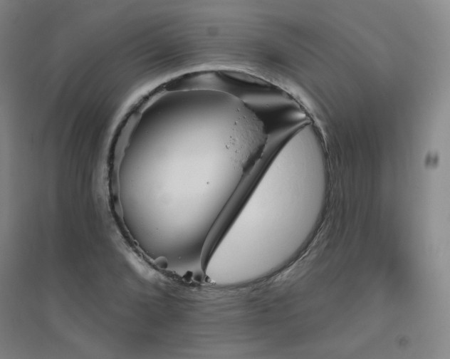 X0000094791072200711161428