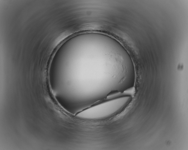 X0000094791073200711161428