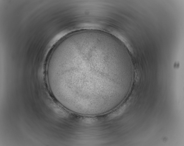 X0000094791074200711161428