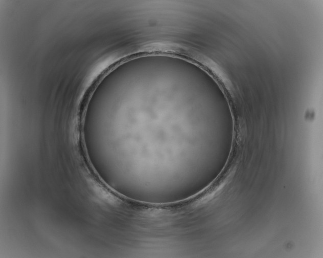 X0000094791075200711161428