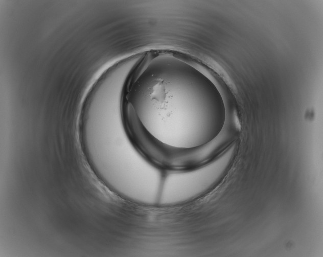 X0000094791076200711161428