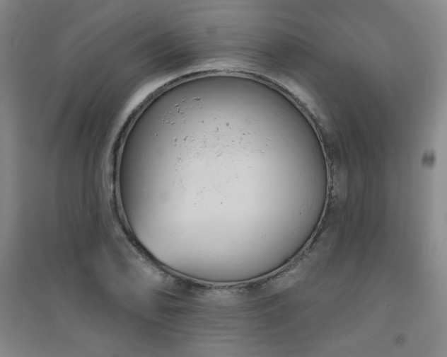 X0000094791078200711161428