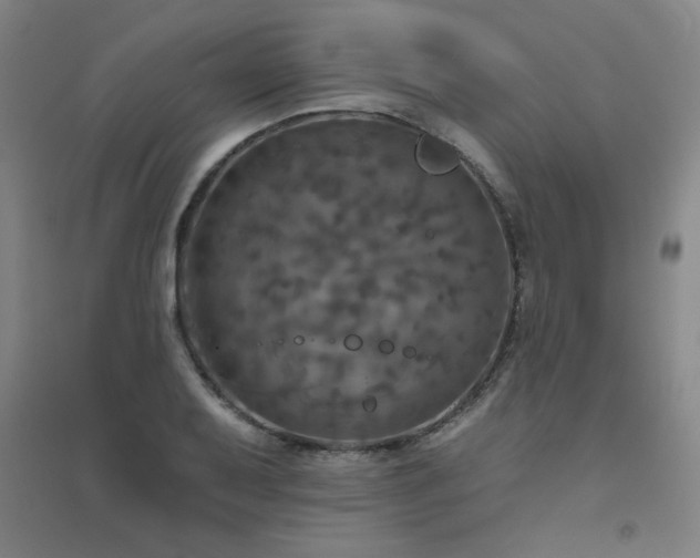 X0000094791079200711161428