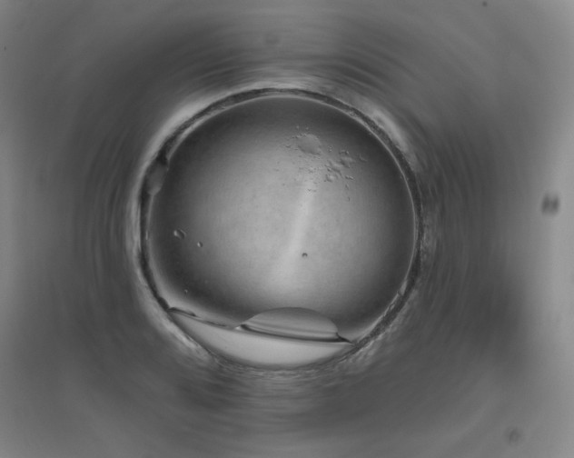 X0000094791080200711161428