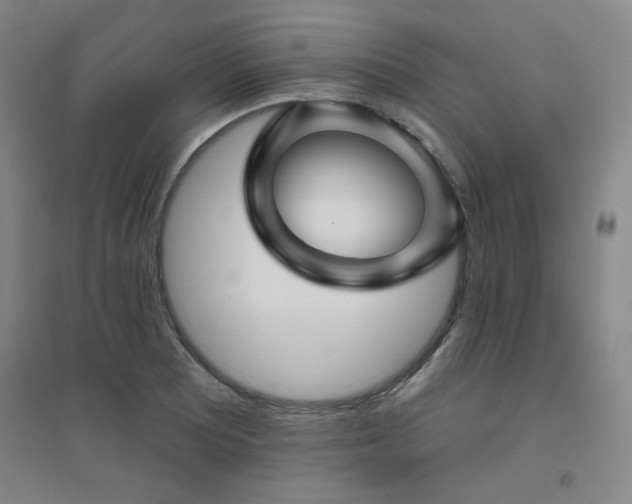 X0000094791081200711161428