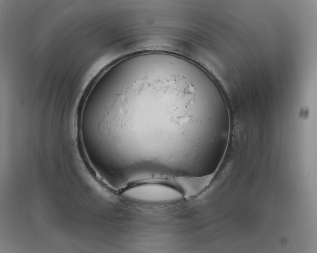 X0000094791082200711161428