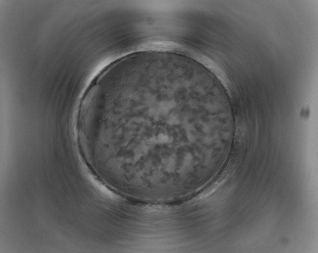 X0000094791083200711161428