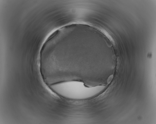 X0000094791084200711161428