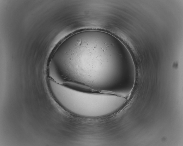 X0000094791085200711161428
