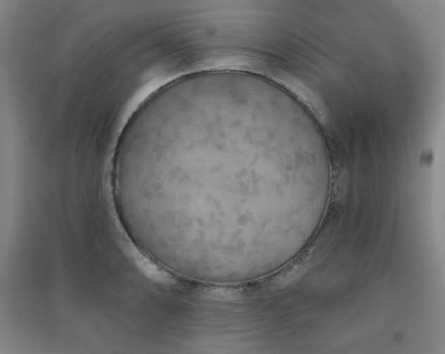 X0000094791086200711161428