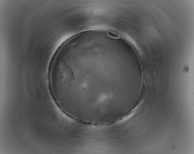X0000094791087200711161428