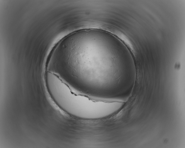 X0000094791088200711161428