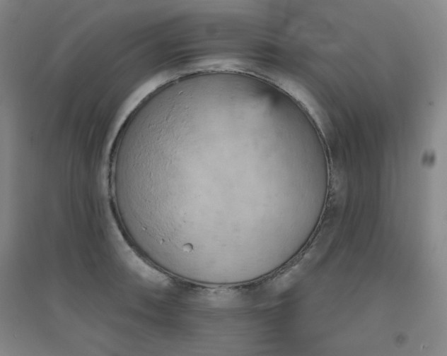 X0000094791090200711161428