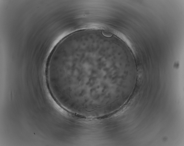 X0000094791091200711161428