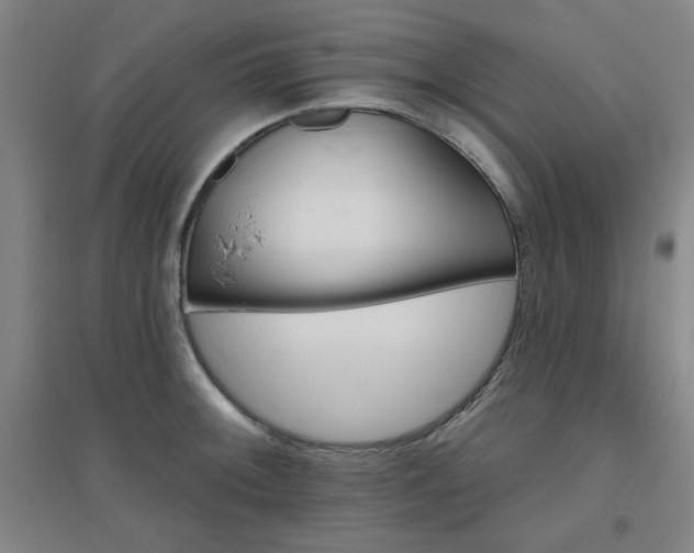 X0000094791092200711161428