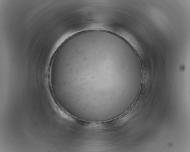 X0000094791094200711161428