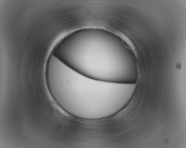 X0000094791096200711161428