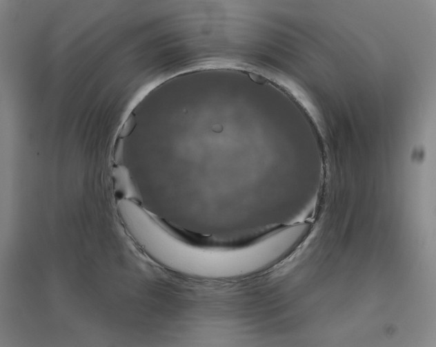 X0000094791097200711161428