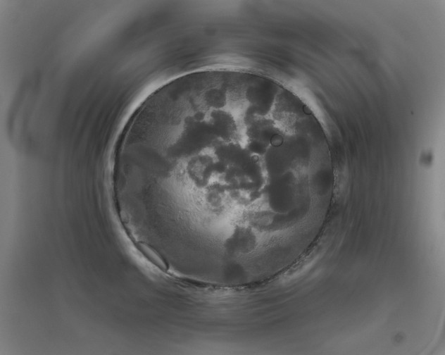 X0000094791099200711161428