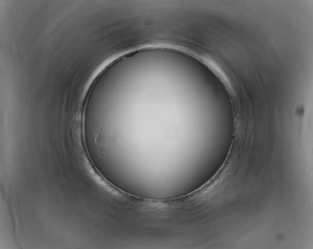 X0000094791100200711161428