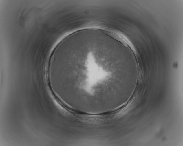 X0000094791101200711161428