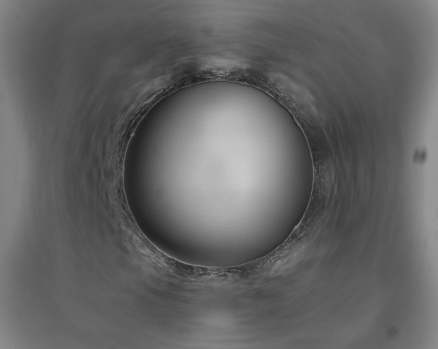X0000094791105200711161427