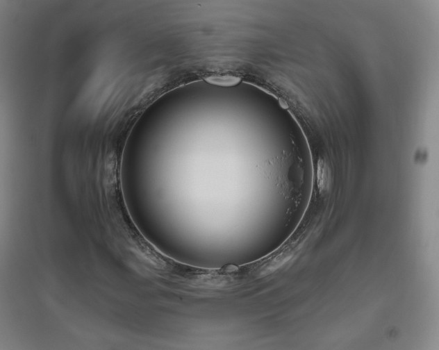 X0000094791107200711161427