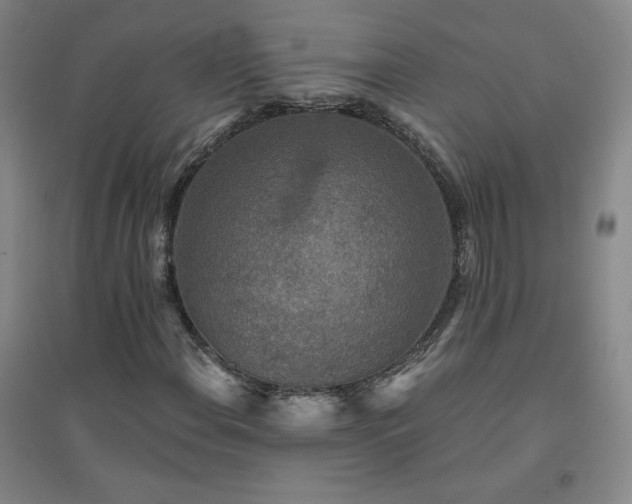 X0000094791108200711161427