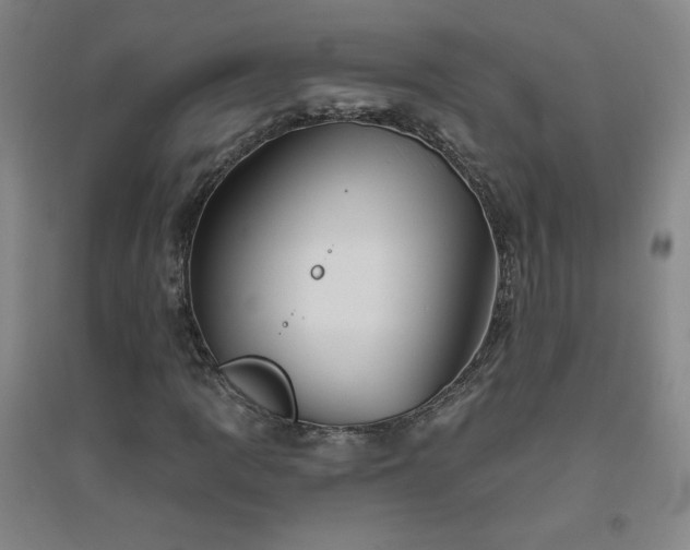 X0000094791109200711161427
