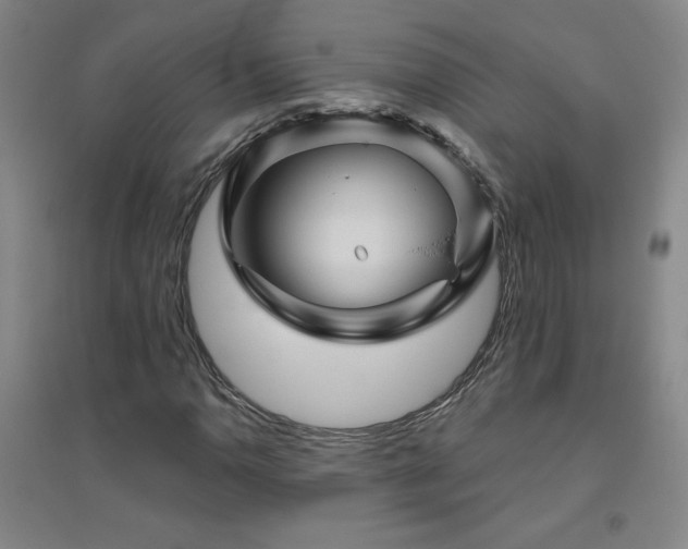 X0000094791110200711161427