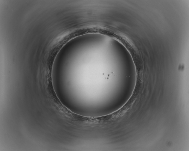 X0000094791111200711161427