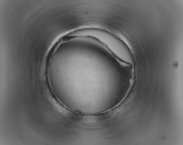 X0000094791116200711161427